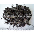dry perilla leaf with low pesticide residue